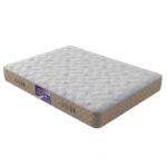 تشک سیف رست