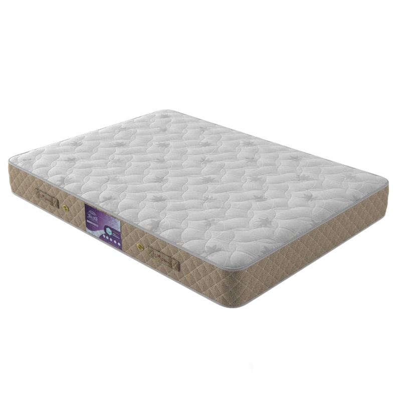 تشک سیف رست